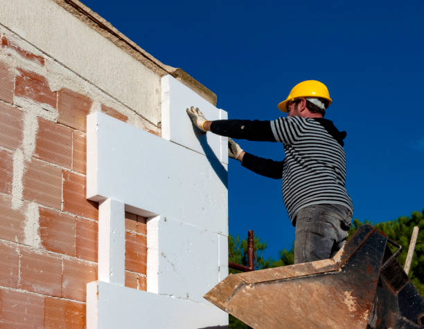 Best Residential Insulation in Pendleton, SC