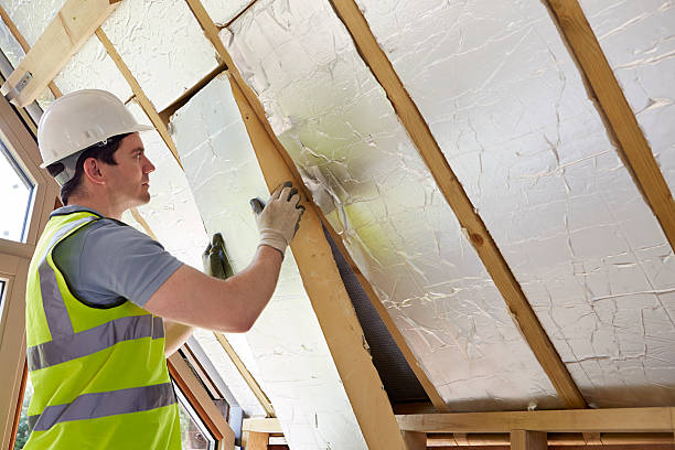 Best DIY Insulation Kits and Guidance in Pendleton, SC